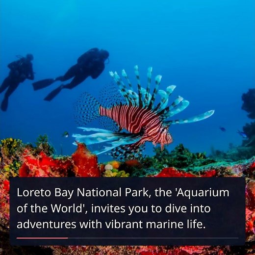 Discover Loreto: Mexico's Hidden Gem Away from Crowded Beaches