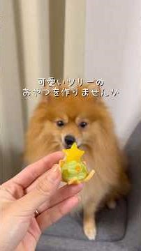 星皿クッキーとマッシュポテトツリー🎄