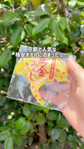 場所タグからも簡単に予約できるよ✊🏻 京都で人気の格安ホテル✨ 北に進むと、京都国際マンガミュージアムや定番の二条城、さらに近くにはお金がたまりそうな御金神社もあって、どこに行ってもすっごく楽しい⛩️ お部屋はセミダブルルームで、ユニットバスはかわいいデザイン🛁 格安ホテルだけど、お水やドトールのコーヒーが用意されてるのは、なんだかちょっと得した気分☕️ ホテルの中には温泉大浴場もあるし、ジュースやアイスの無料サービスまであって、思ってた以上にすっごく充実🍦 観光も温泉も楽しめて、とっても楽しく過ごせました🥰 京都旅行でぜひ泊まってみてね✨ ◆紹介したホテル◆ 【ホテルモントレ京都】 📍 京都府京都市中京区烏丸通三条下ル饅頭屋町604 🛎️ 料金:ホテル名をタップすると最新価格が出てくるよ #PR #TikTokGO #楽天トラベルキャンペーン #京都ホテル