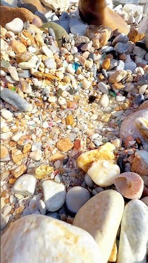 Sea Agate and Sea Crystal: Finding Hidden Treasures on the Shore and rare pearl