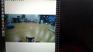 羽毛球捡球机器人