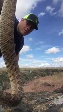 How to kill a Rattlesnake Properly