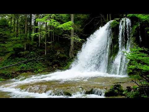 Calming Medium Forest Waterfall & River. Gentle Waterfall, Nature Sounds. White Noise for Sleeping.