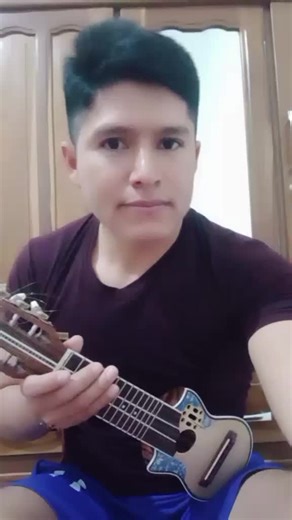 Videos de Pánfilo Flores oficial 🇧🇴 (@panfilo.oficial) con “sonido original - Pánfilo Flores oficial 🇧🇴”