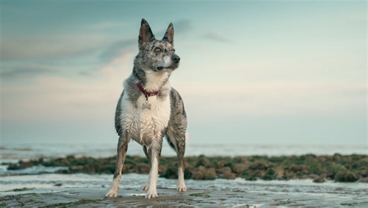 5 Lightroom Classic Tools That Will Cut Your Editing Time in Half | Fstoppers