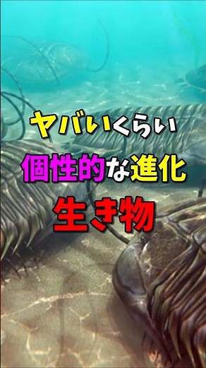 【古生物】5億年前の海で大繁栄した節足動物【三葉虫類の進化の変遷①】 #雑学 #生き物