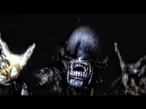 ALIEN XENOMORPH BIG CHAP!!! NECA 1/4 SCALE FIGURE