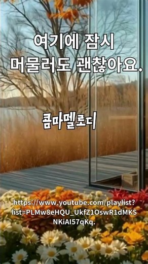 마음을 토닥여 주는 감성 트롯 멜로디, 콤마멜로디, 카페음악, 중년음악, 시니어음악, 위로음악, 격려음악 #트롯음악 #위로음악 #중년음악 #시니어음악 #공감음악 #Shorts