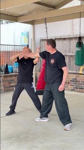 Praying Mantis Double Sealing Hands for Defense and Chin Na Control螳螂拳双封手实战解析防守反击与擒拿锁控关键手法详解教学