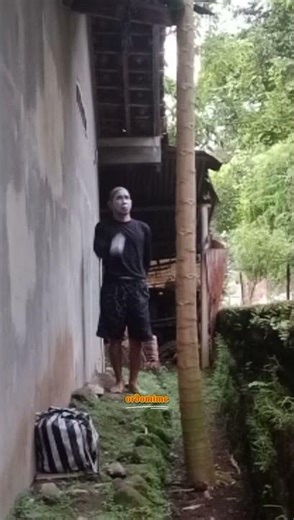 SILENT MIME COMEDY CRAZY ANT ATTACK ESCAPE