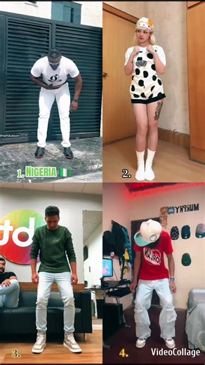 TikTok Challenge: Who Is the Champion? Vote Nigeria Japan Brazil Venezuela