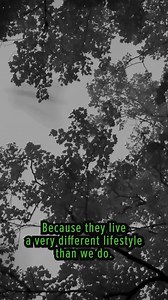 36K views · 309 reactions | 100,000 Endangered Bats! #nature #wildlife #bravewilderness #bats | Brave Wilderness | Facebook