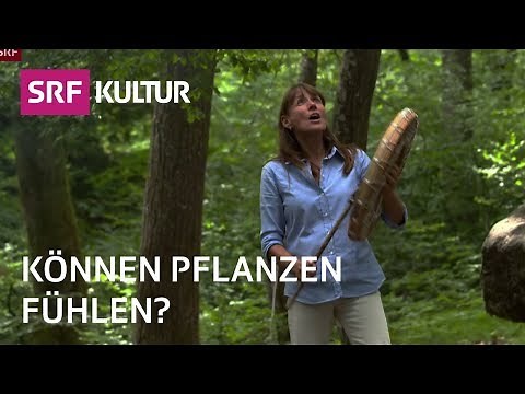 A return to a soulful nature? | Sternstunde Religion | SRF Kultur