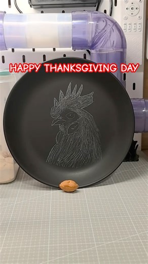 Hardell Fun Craft Lab EP.11:Halloween-Inspired DIY Thanksgiving Turkey Head Plate🦃🧵#hardell #diy