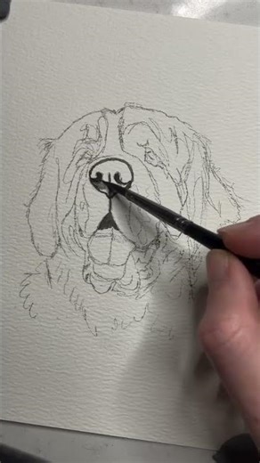 I painted an entire dog with ONE brush #watercolor #petart #arttutorial