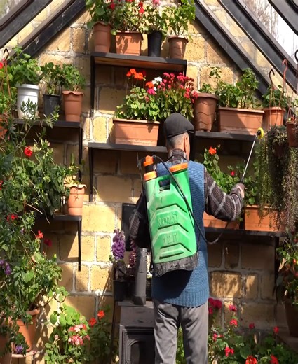 11K views · 307 reactions | Campfire Cooking Hearty Meat Pie Recipe for Outdoor Feasts | Easy Life TV | Facebook