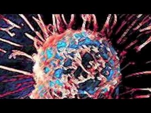 Forever young. Telomerase & the end-replication problem