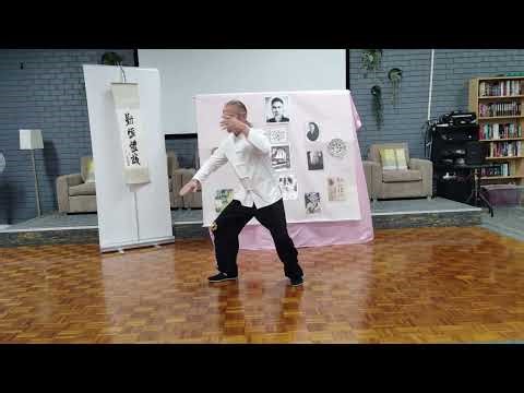 Tai Chi advanced Qigong. Yang Style Taiji 13 Postures Qigong "Shi San Shi" Practice