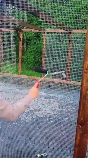 Just like painting the coop black helps chickens see the greenery more clearly — SEO Souq helps your audience see your brand more clearly online.  We fine-tune your website design, SEO, content, and digital marketing so your brand stands out in the crowded digital landscape. | Seo Souq UAE | Facebook