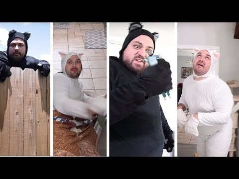 Leigh_Mcnasty Top Tiktok Compilation | Funny Cats #1