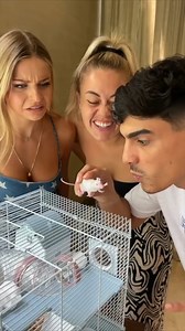 274K views · 1.4K reactions | Epic Mouse Prank!! 藍 | Chloe The Legend | Facebook