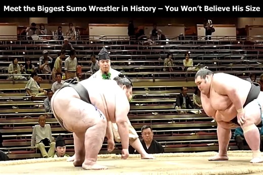 Meet the Biggest Sumo Wrestler in History – You Won’t Believe His Size | Readers