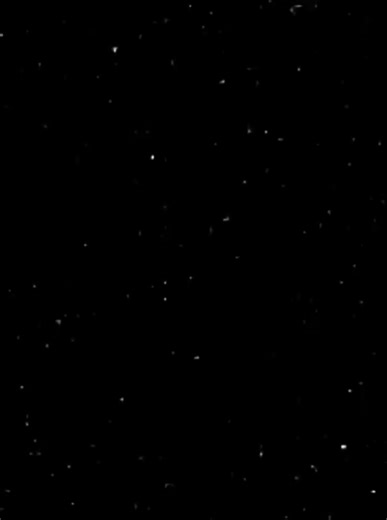 Aprenda o Ombrinho: O Melhor Funk do Brasil