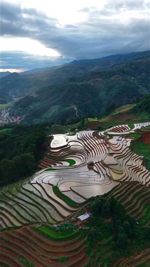 Beyond the Golden Rice Fields: Discover a Different Side of Mu Cang Chai 🌿✨\n\nWhen people think of M