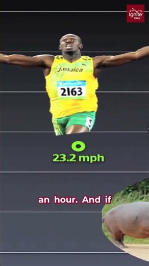 Hippos Are Faster Than Usain Bolt