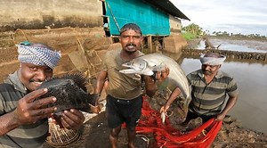 ചങ്ങാതിമാരെ ഇനി കുറച്ച് ദിവസം കുട്ടനാട്ടിലെ വീഡിയോസ് ആയാലോ? | Real Life Anglers