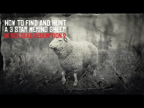 Red Dead Redemption 2 Perfect Merino Sheep Hunt