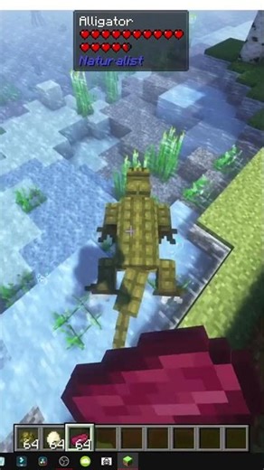 HOW TO FIND ALLIGATORS AND BREED THEM IN NATURALIST MINECRAFT