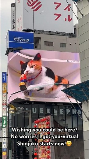 #JapanTravel #japanaesthetic #Tokyovibes #shortsvideo #shortsviral #shortsyoutube