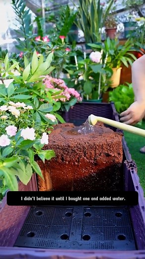Coco coir brick The internet said that this coco coir brick can expand when soaked in water | The Crafted Garden