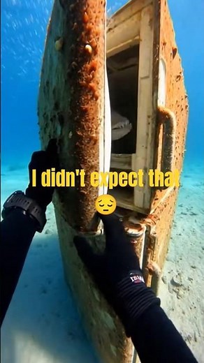 Alligator Gar Attacks 😱 | Caught on Camera #Shorts