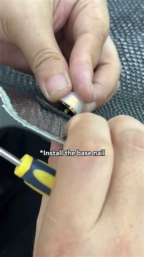 A black lizard skin art piece