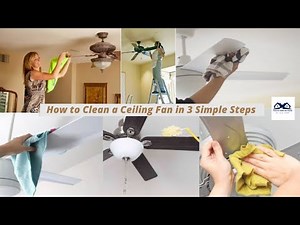 How to Clean a Ceiling Fan in 3 Simple Steps | How to Clean a Ceiling Fan Tips | DIY Ceiling Fan