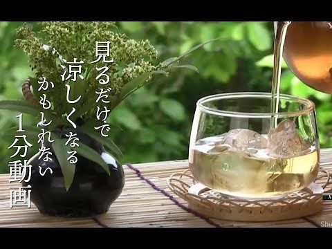 1分で涼しくなる（かもしれない）動画