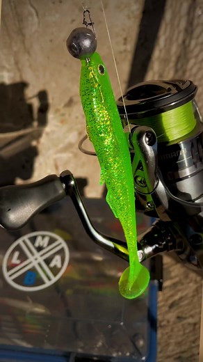 Who’s ready for some Zander fishing? Rod: La Moustique 7-21gr Lure: Køfi Bleak Shad 12cm • Lime Chartreuse Tacklebox Shallow S 🍱 #lmab #køfibleakshad #lmabtacklebox #tacklebox #fishingrod #lurefishing #zanderfishing #snoekbaarsvissen #zander #walleyefishing #zanderangeln #angeln #fishingdaily #fishingreel #spinningfishing #visseninnederland