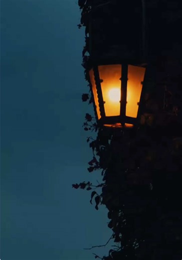 Be grateful for you life 🤍 ~ You don't always realize how good you have it until it's gone. Often, it is only when we are confronted with a crisis, such as war or disaster, or a deeply personal one, such as terminal illness or the loss of a loved one, that we understand how abundant and beautiful life has been and how much we may have taken it for granted. We complain about going to a job we hate. We resent having to attend university. We curse the rainy weather. We grow impatient in traffic. W