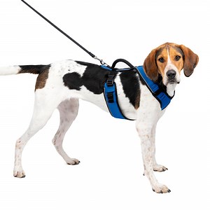 PetSafe EasySport Dog Harness, Comfortable Padding, Reflective, Large, Blue