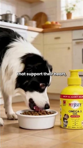 Say NO to stinky fish oil and YES to clean algae! 🌿🐕❌🐟