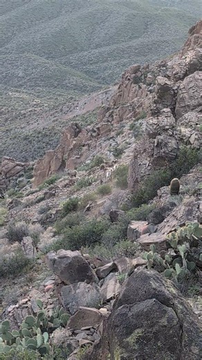 Sunsets and Desert Bighorn Sheep #arizona #bighornsheep #mountains #sunset #goexplore #nature