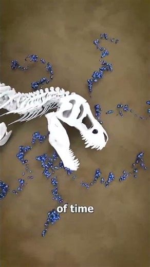How Fossilization Works🦖| Dinosaur Edition