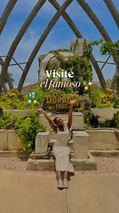 ¡VISITÉ EL FAMOSO DORADO WATER PARK🌊☀️! ¡El parque acuático más grande del Caribe! 😱Y esta fue mi experiencia… ¿vale la pena?😳 . . . . . #doradowaterpark #eldorado #puntacana #lugaresenrd #rd #turismo #turismord #eldoradowaterpark | Liz Mar