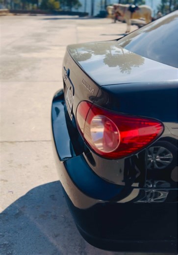 Rolla On: The Ultimate Car Experience