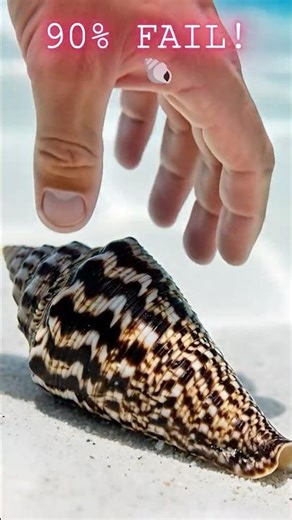 90% FAIL! 🐚 The Deadliest Shell in the Ocean 💀 #survival #shorts