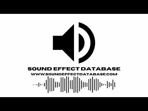 Military Base Security Breach Alarm Sound Effect