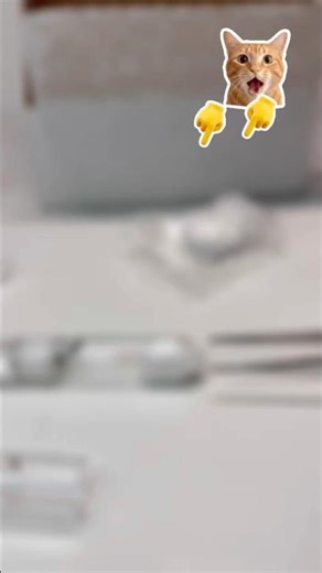 How to Make a Test Tube Setup for Your Ants 🐜 (Easy Guide!) #fyp #viral #youtubeShorts