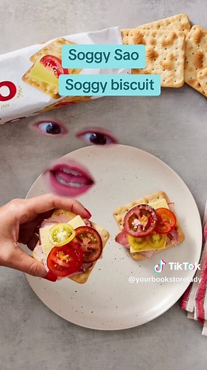 Discover Soggy Sao: The Soggy Biscuit Explained